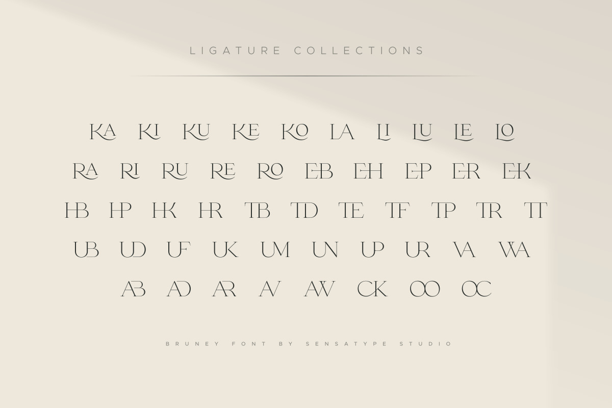 Bruney - Classy Ligature Font Bruney - Classy Ligature Font