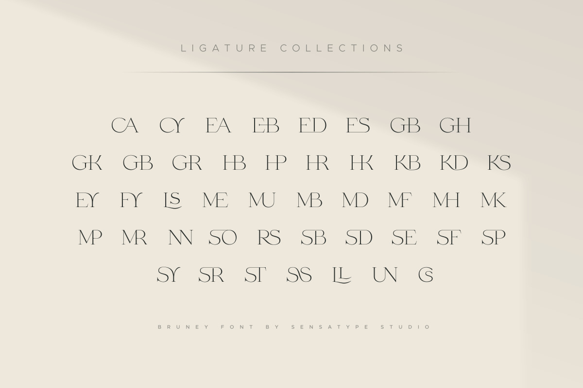 Bruney - Classy Ligature Font Bruney - Classy Ligature Font