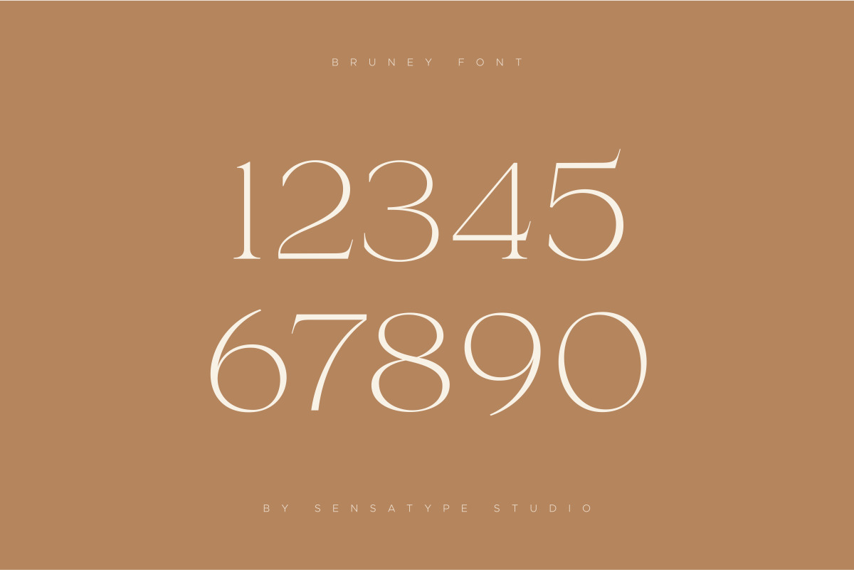 Bruney - Classy Ligature Font