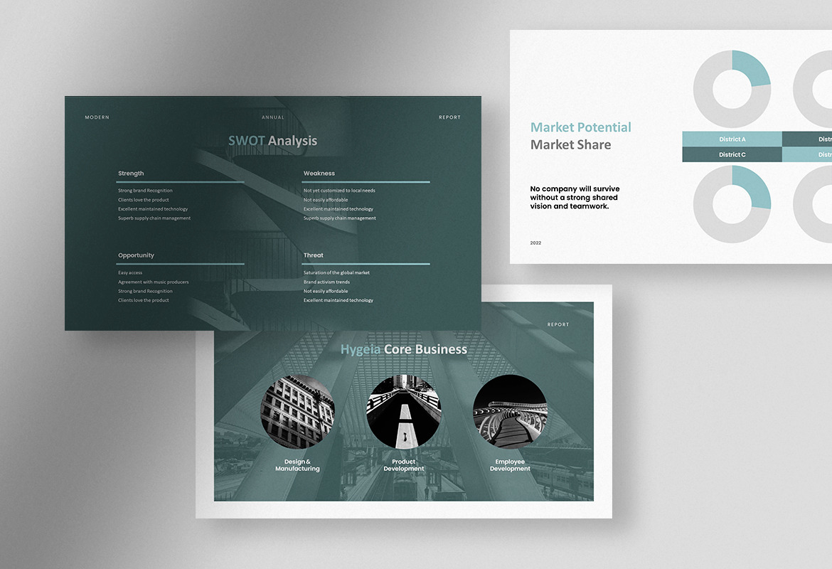 Hygeia - Tranquil Modern Annual Report Presentation Hygeia - Tranquil Modern Annual Report Presentation