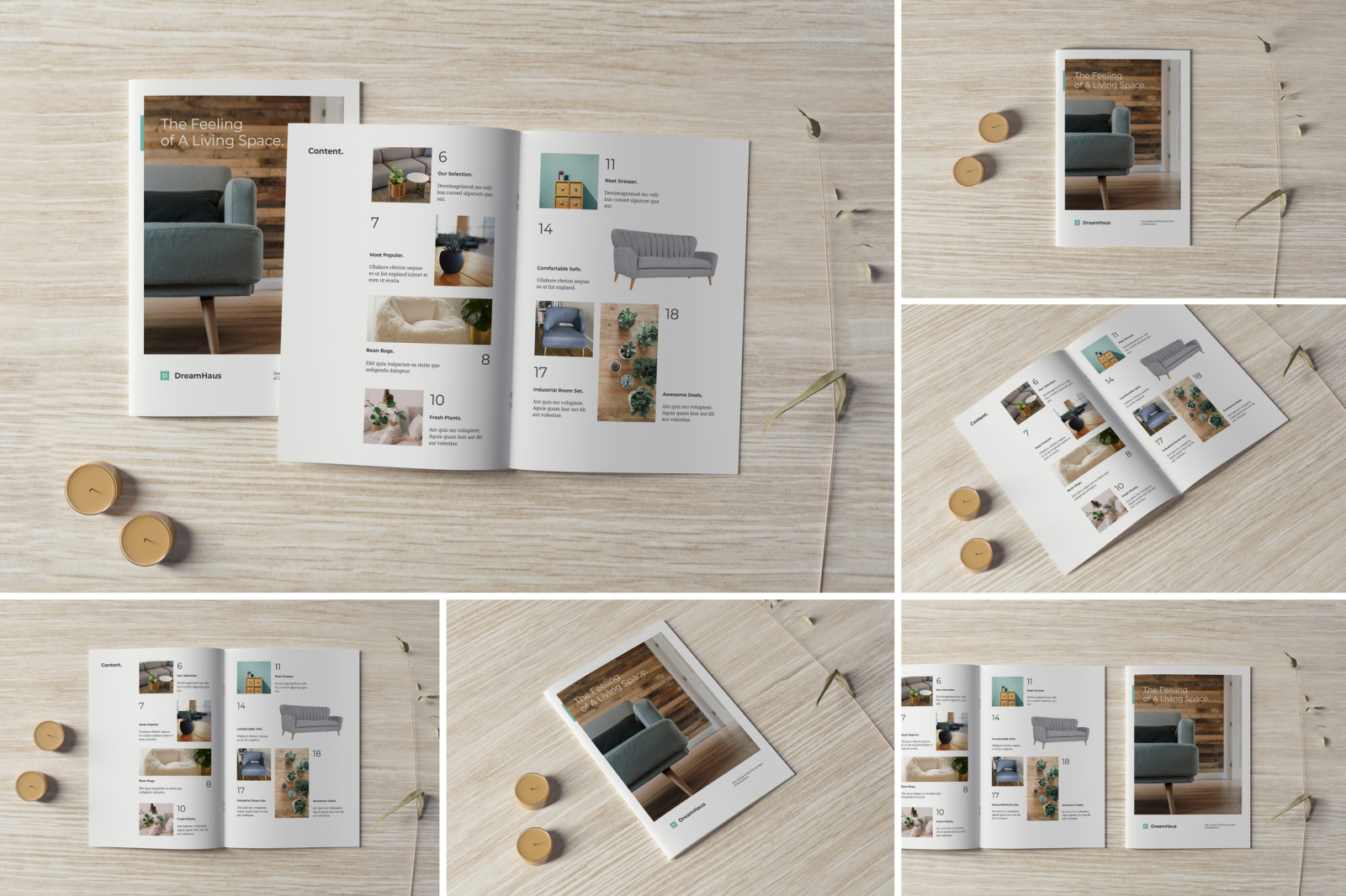 Brochure and Catalog Mockups