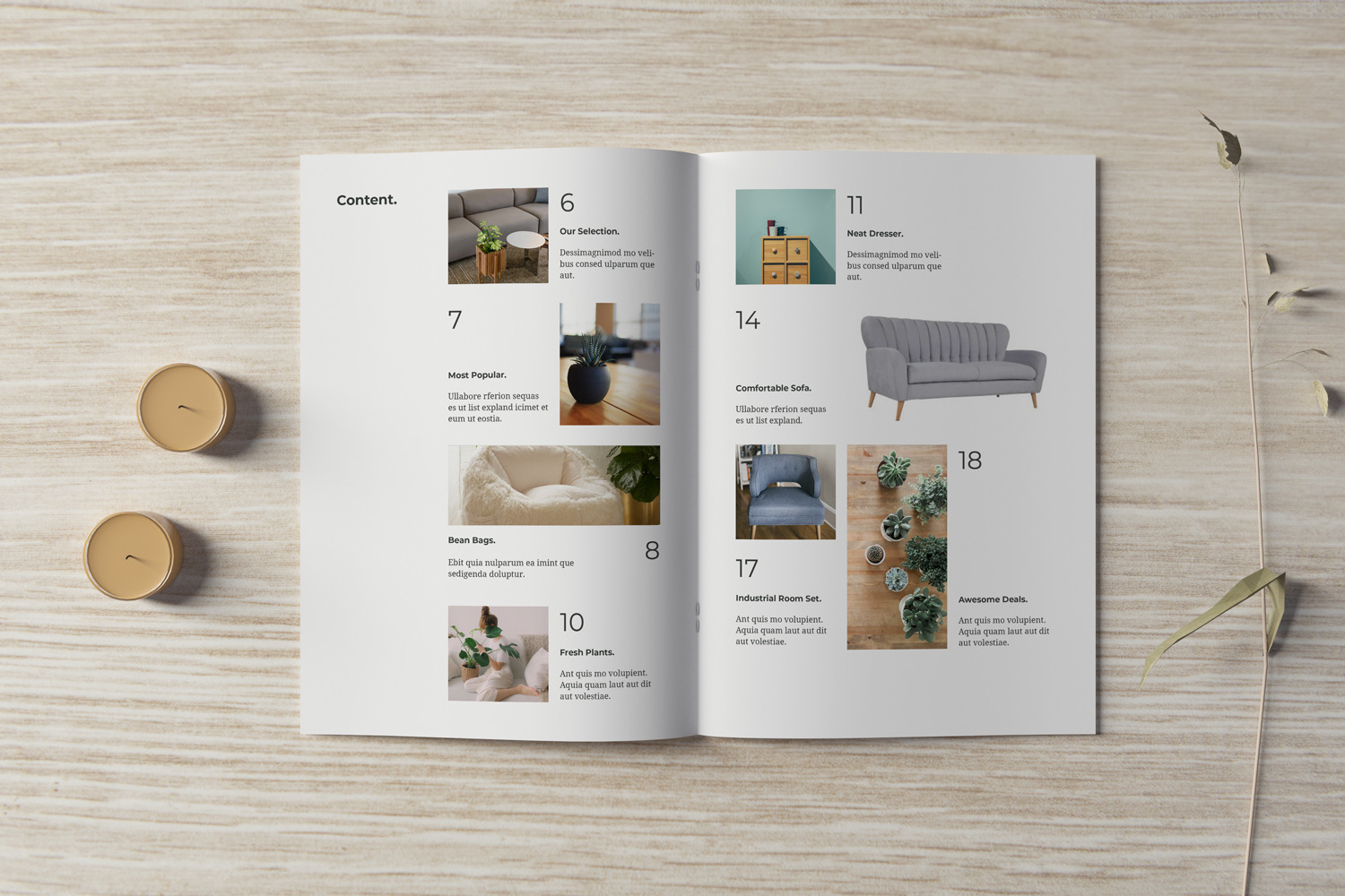 Brochure and Catalog Mockups