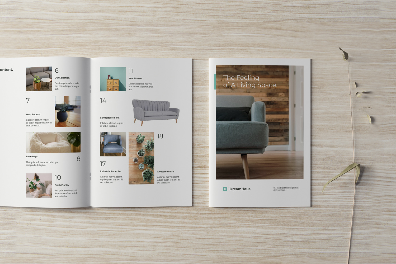 Brochure and Catalog Mockups