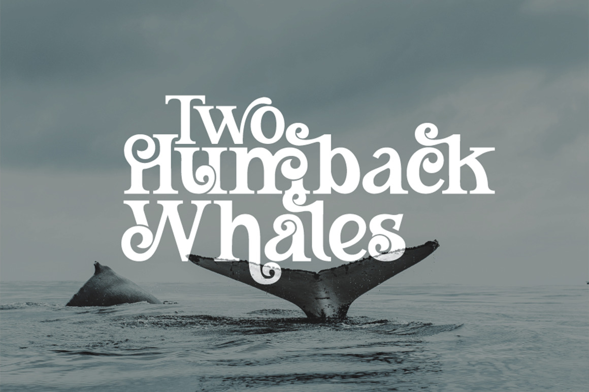 Bitline Swirly Font Bitline Swirly Font