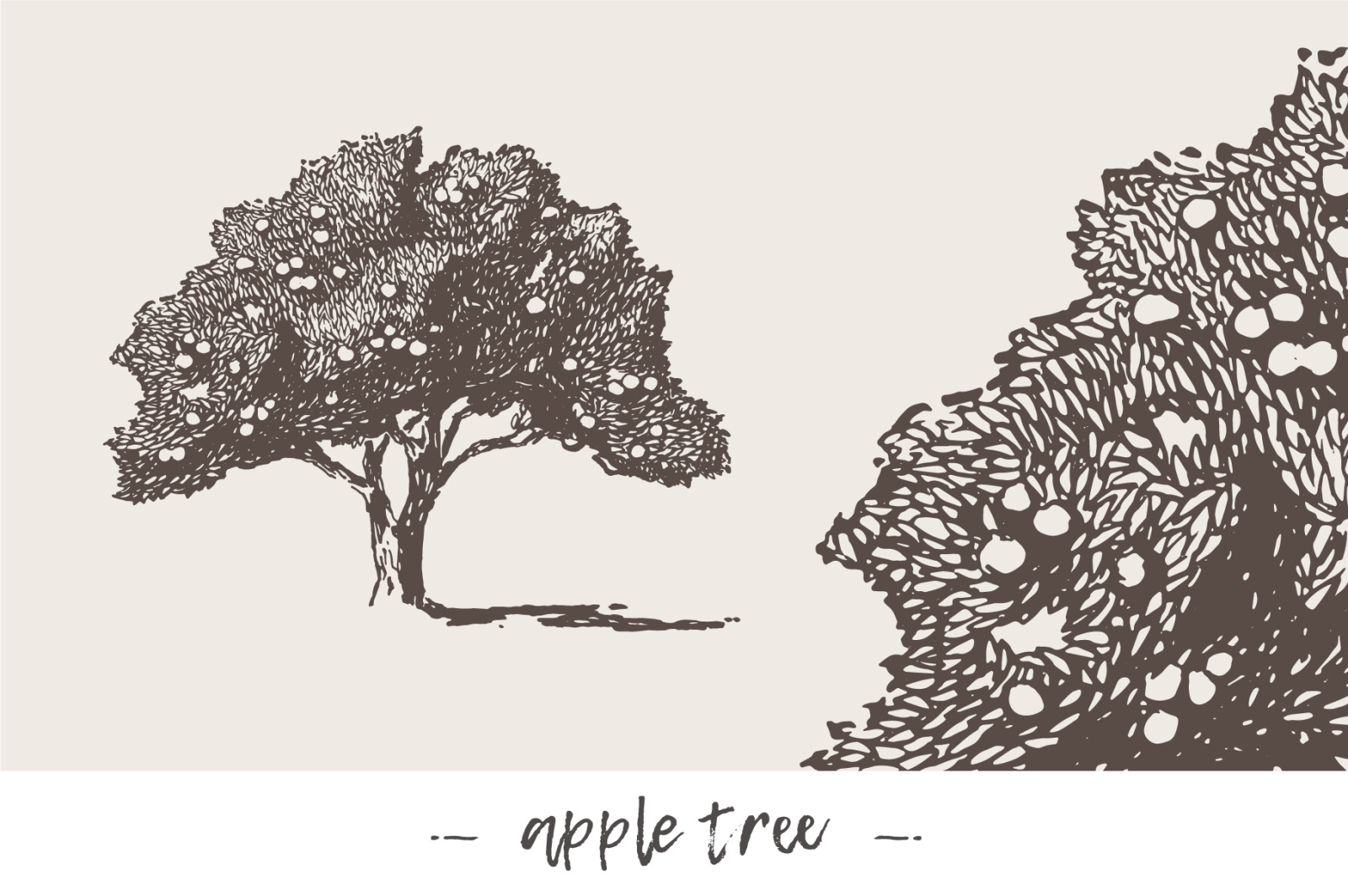 Big collection of high detail trees Big collection of high detail trees