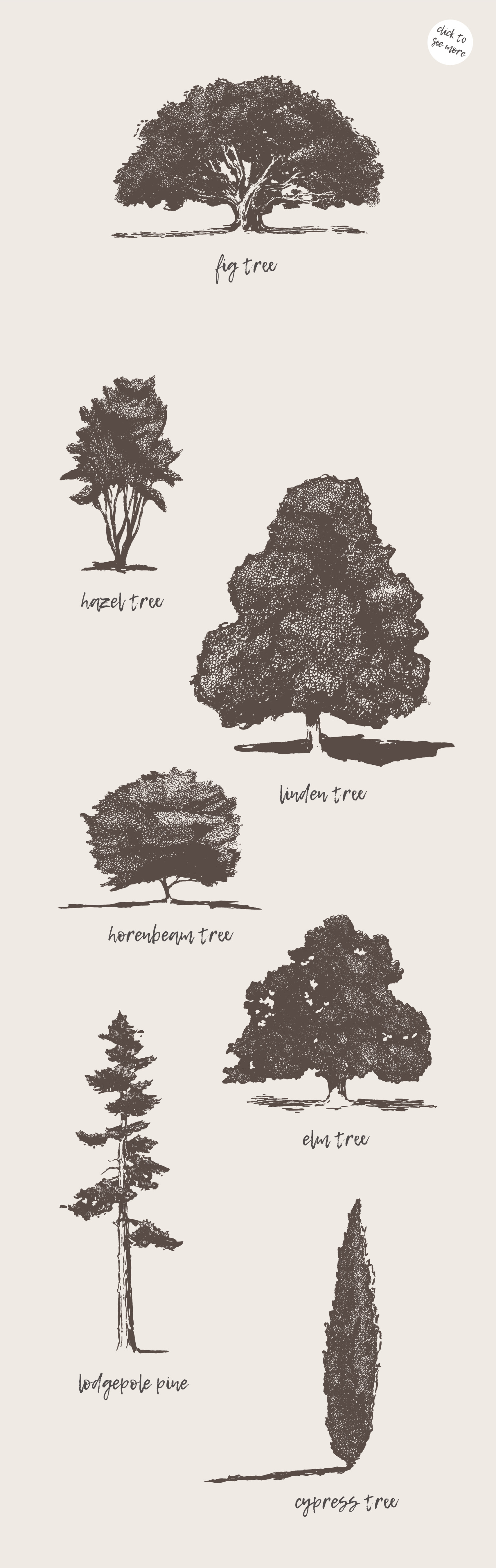 Big collection of high detail trees Big collection of high detail trees
