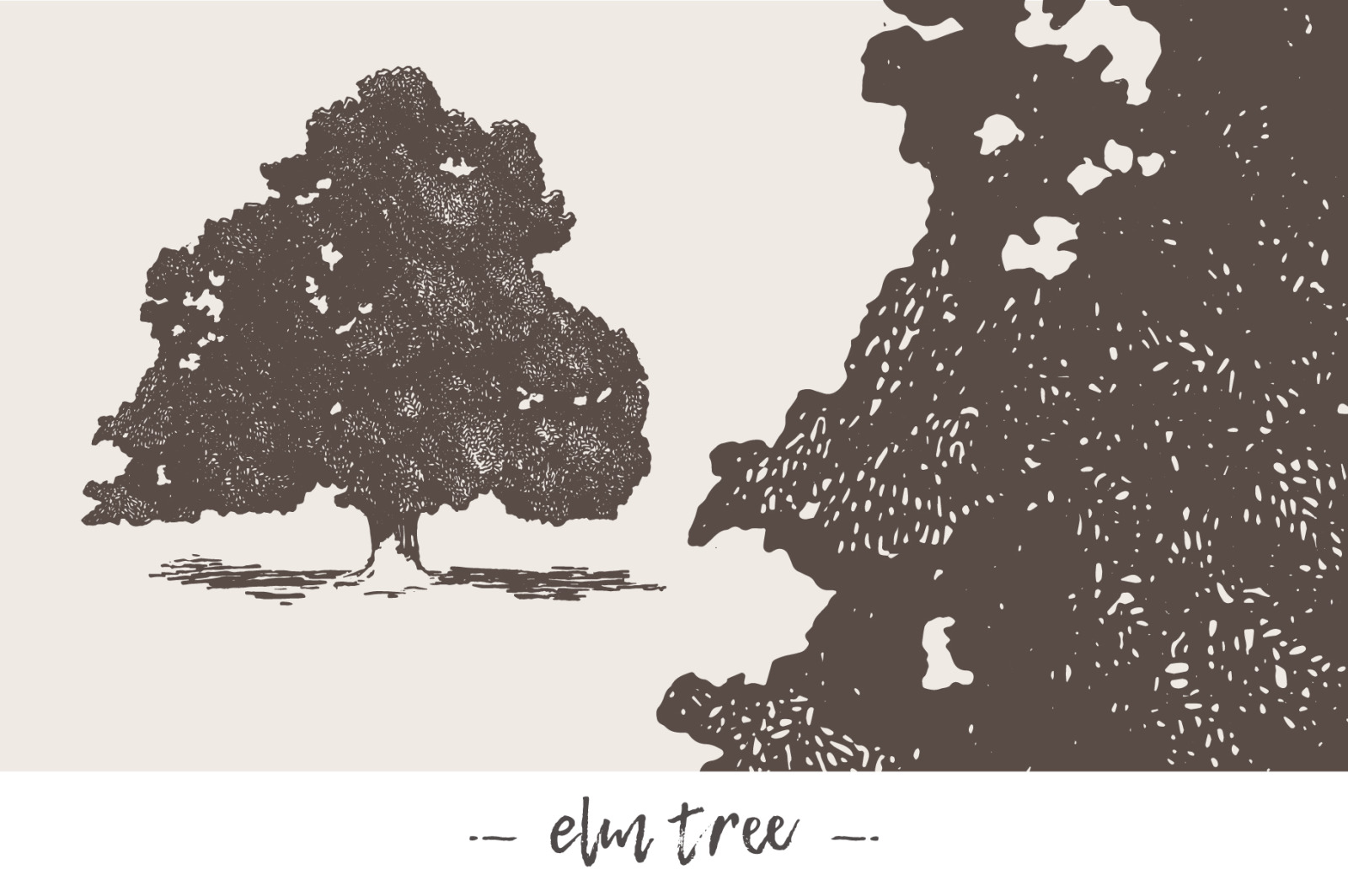 Big collection of high detail trees Big collection of high detail trees