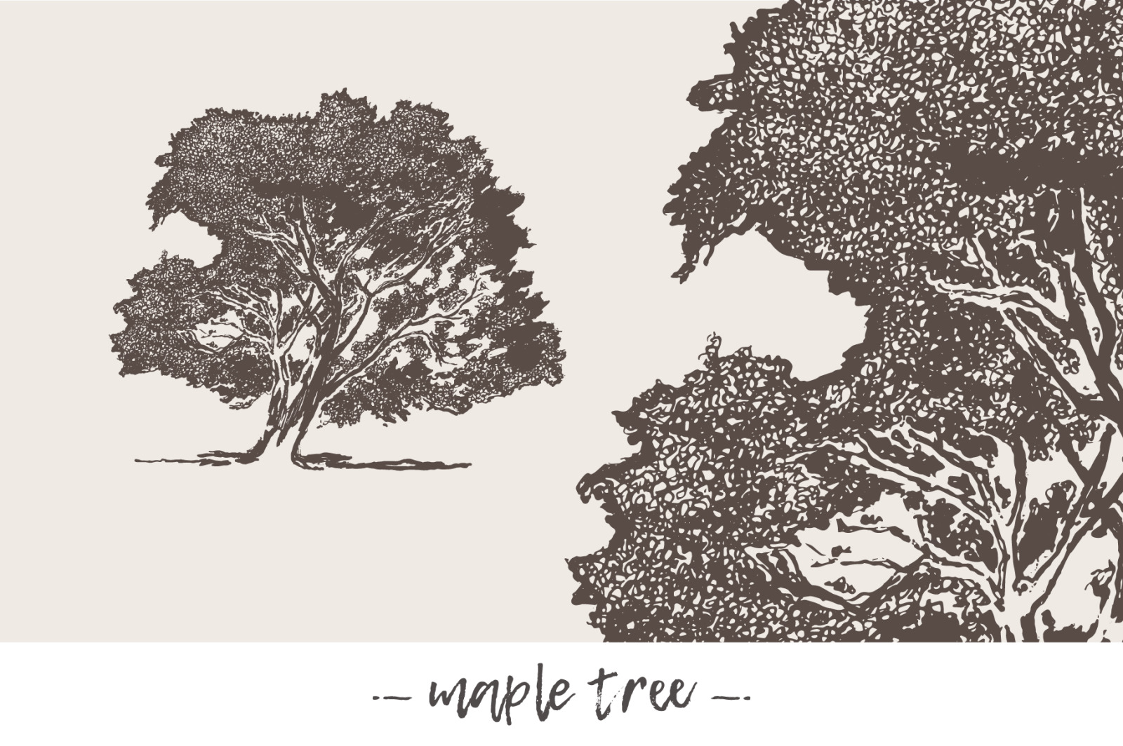 Big collection of high detail trees Big collection of high detail trees