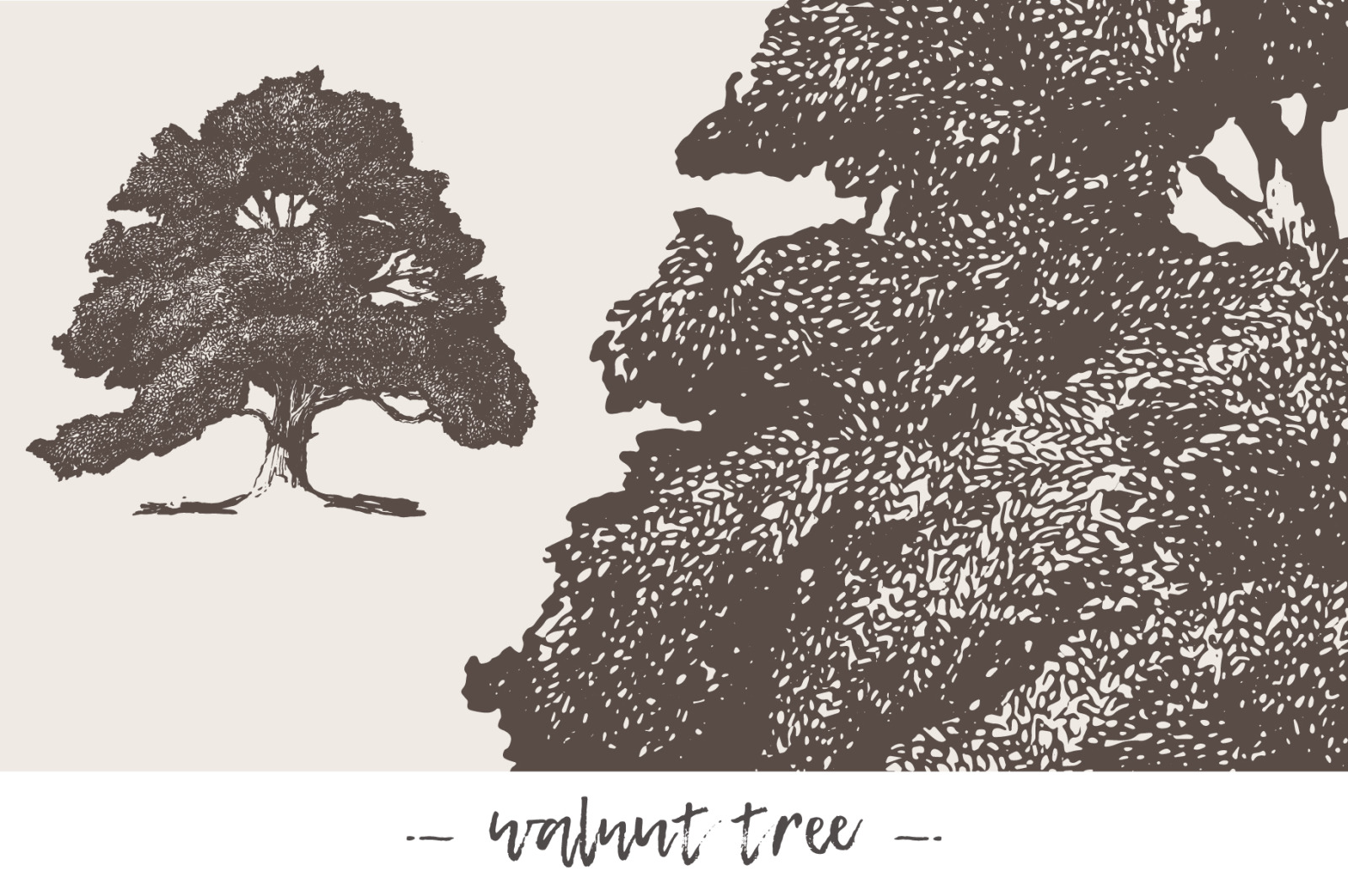 Big collection of high detail trees Big collection of high detail trees