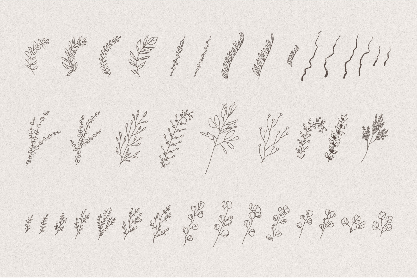 Set of hand drawn greenery Set of hand drawn greenery