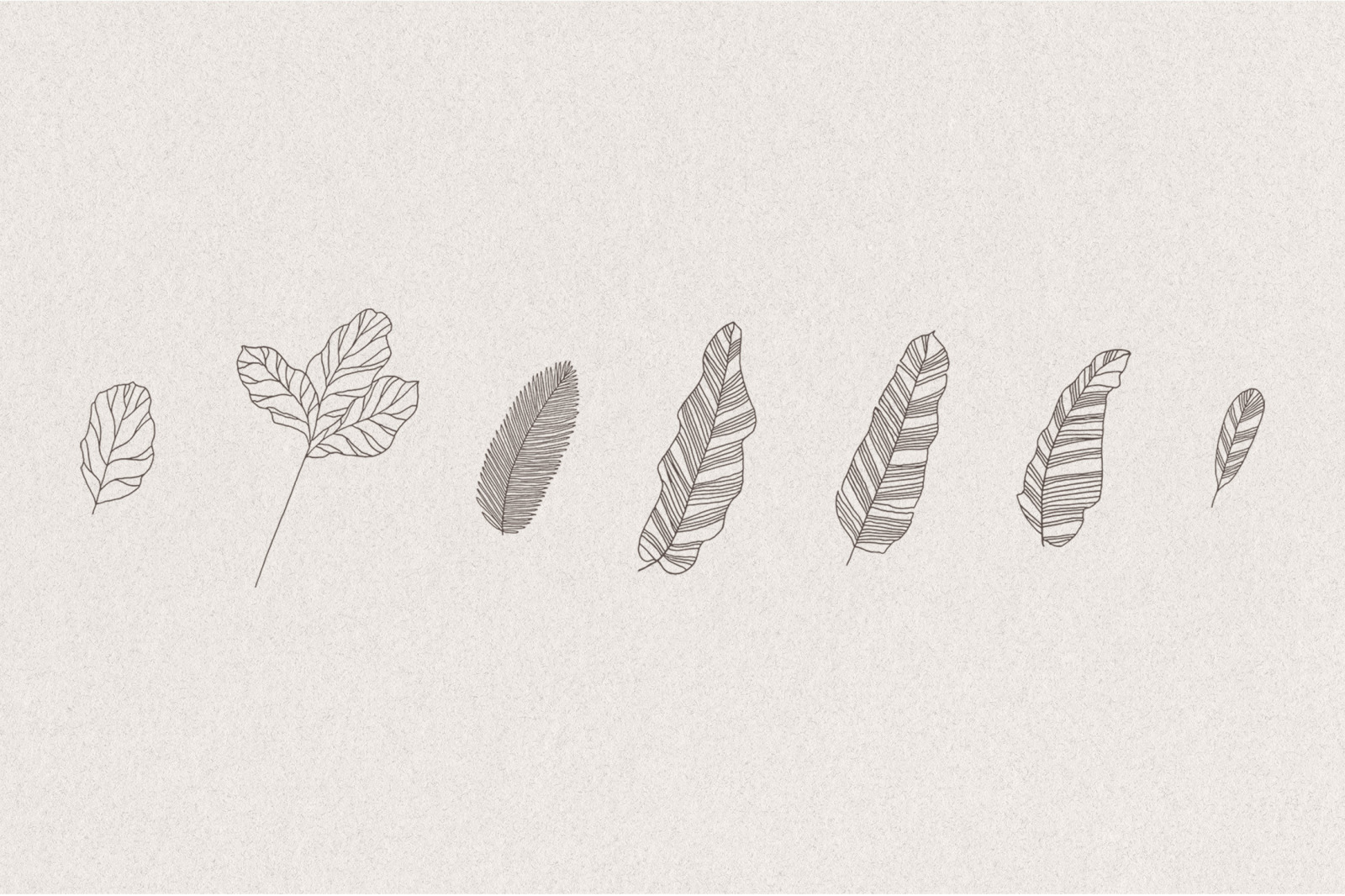 Set of hand drawn greenery