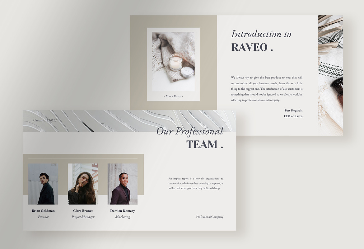 Raveo - Elegant Professional Company Presentation