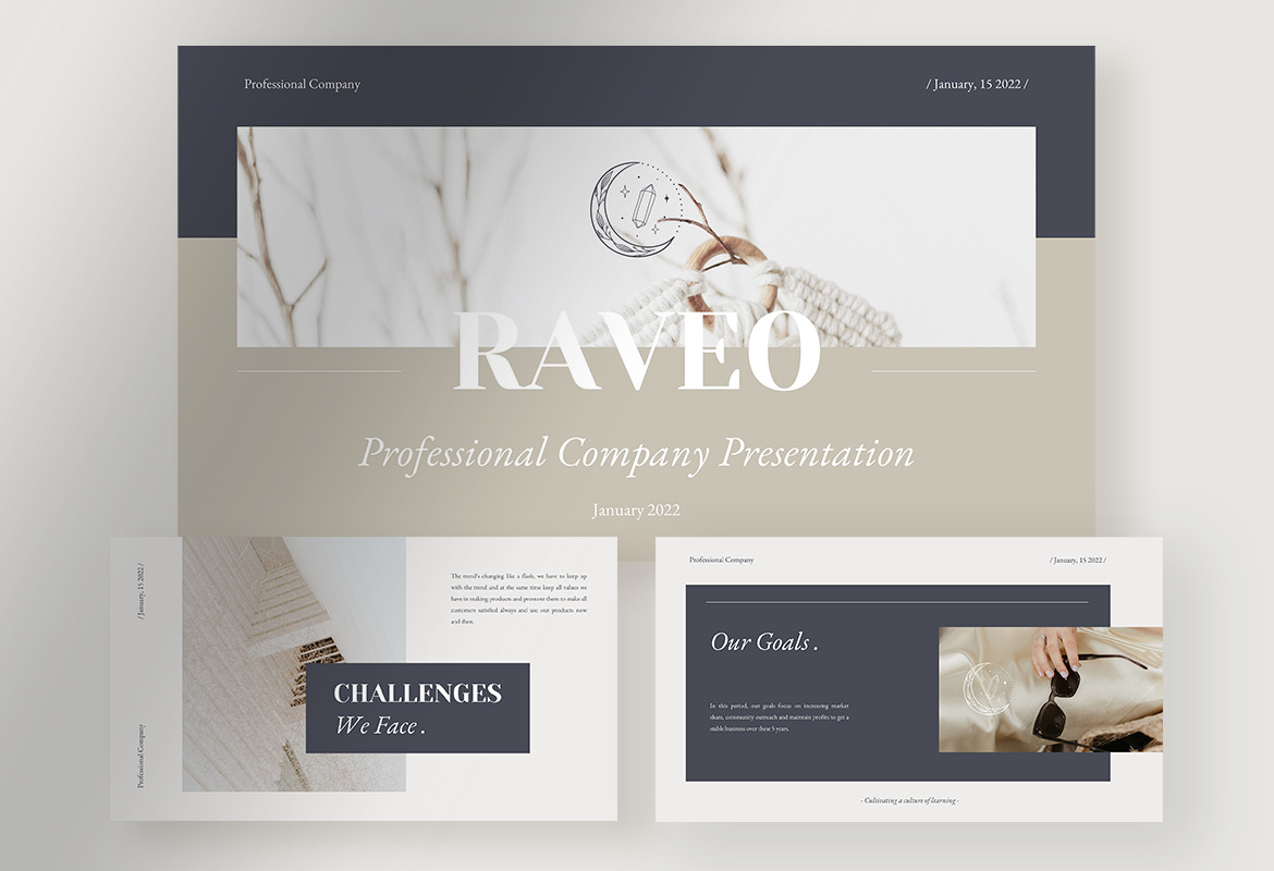 Raveo - Elegant Professional Company Presentation