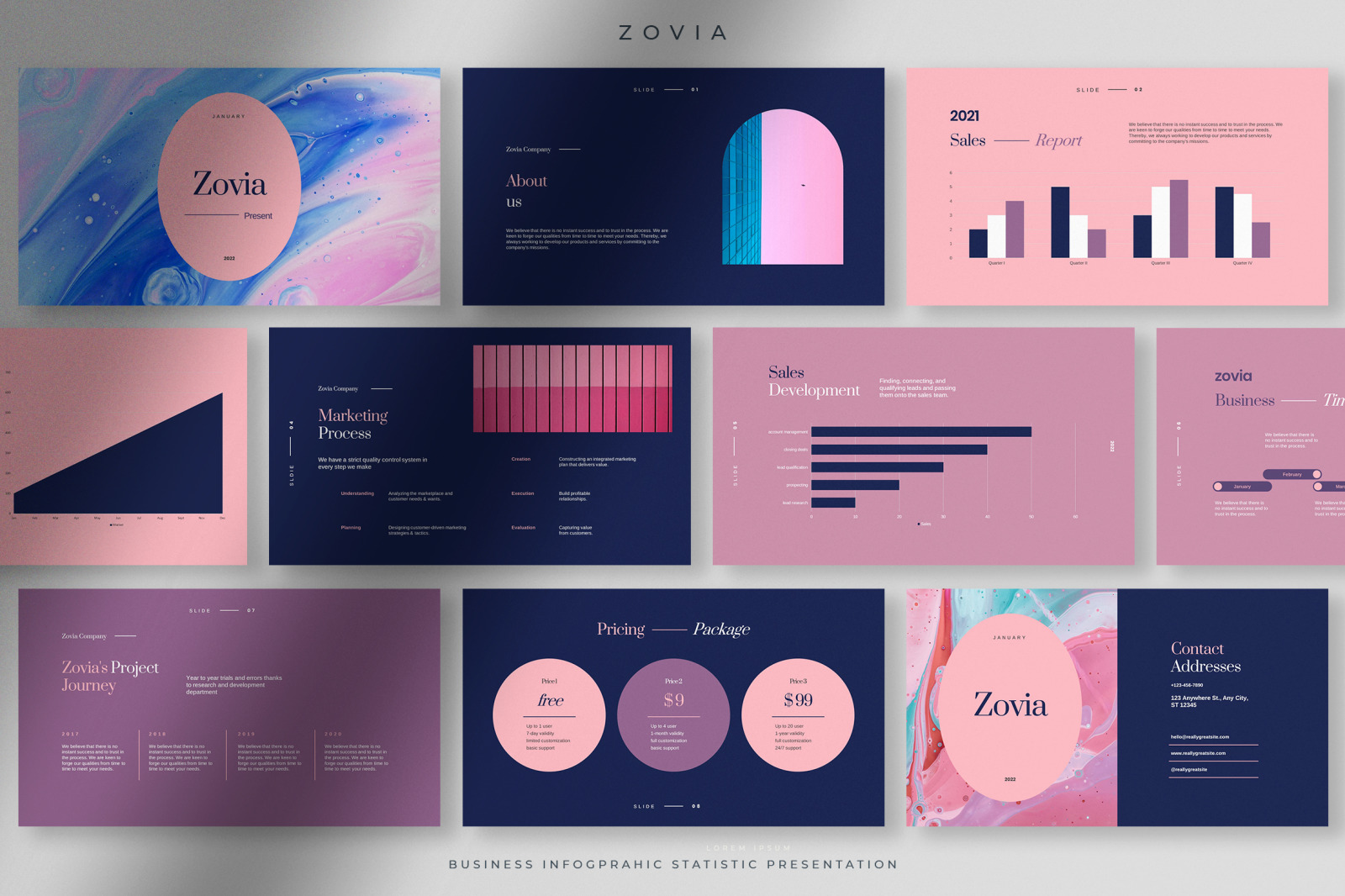 Zovia - Starlight Professional Infographic Statistics Presentation