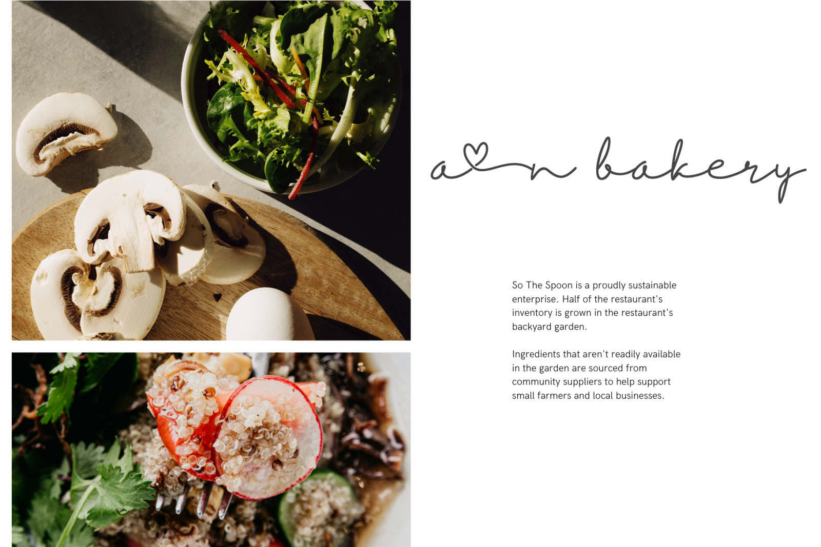 Diahlova | Wedding & Invitation Font Diahlova | Wedding & Invitation Font