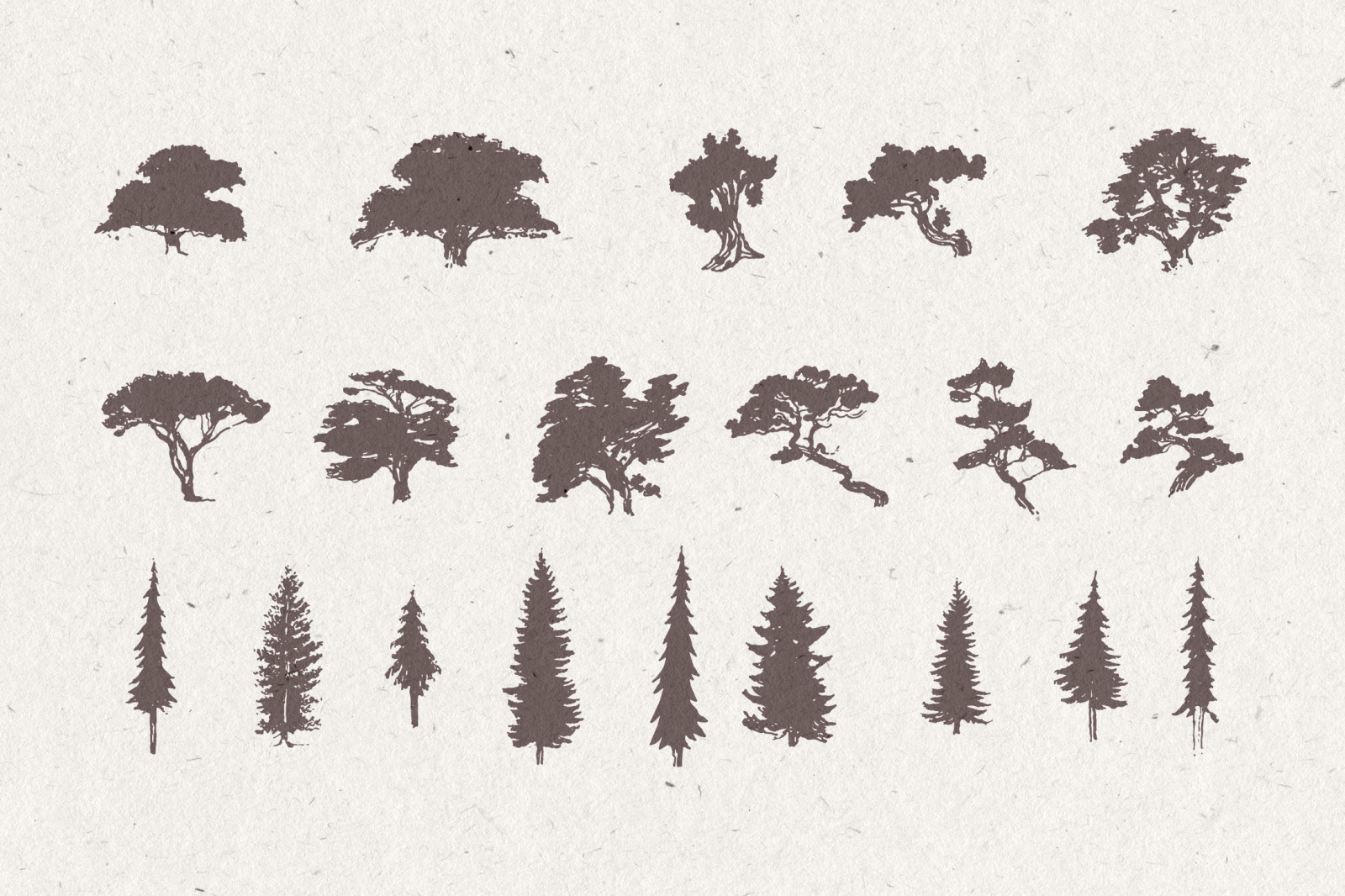 Silhouettes of pine and fir trees