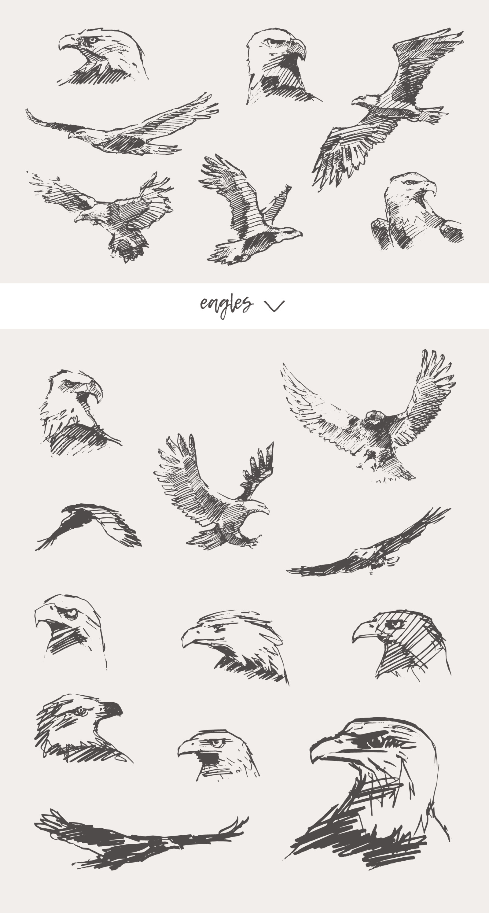 Huge collection of animals drawings Huge collection of animals drawings