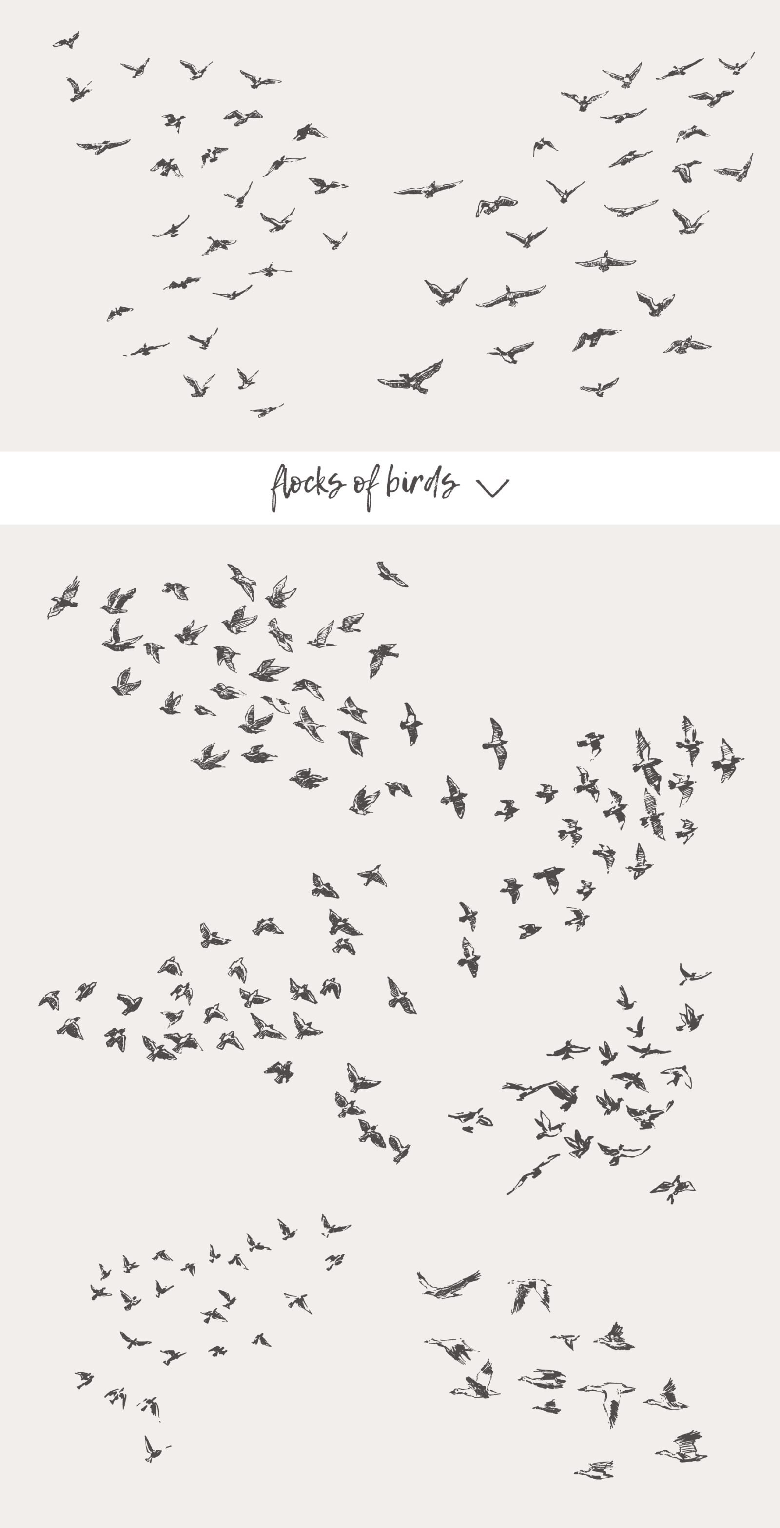 Huge collection of animals drawings Huge collection of animals drawings