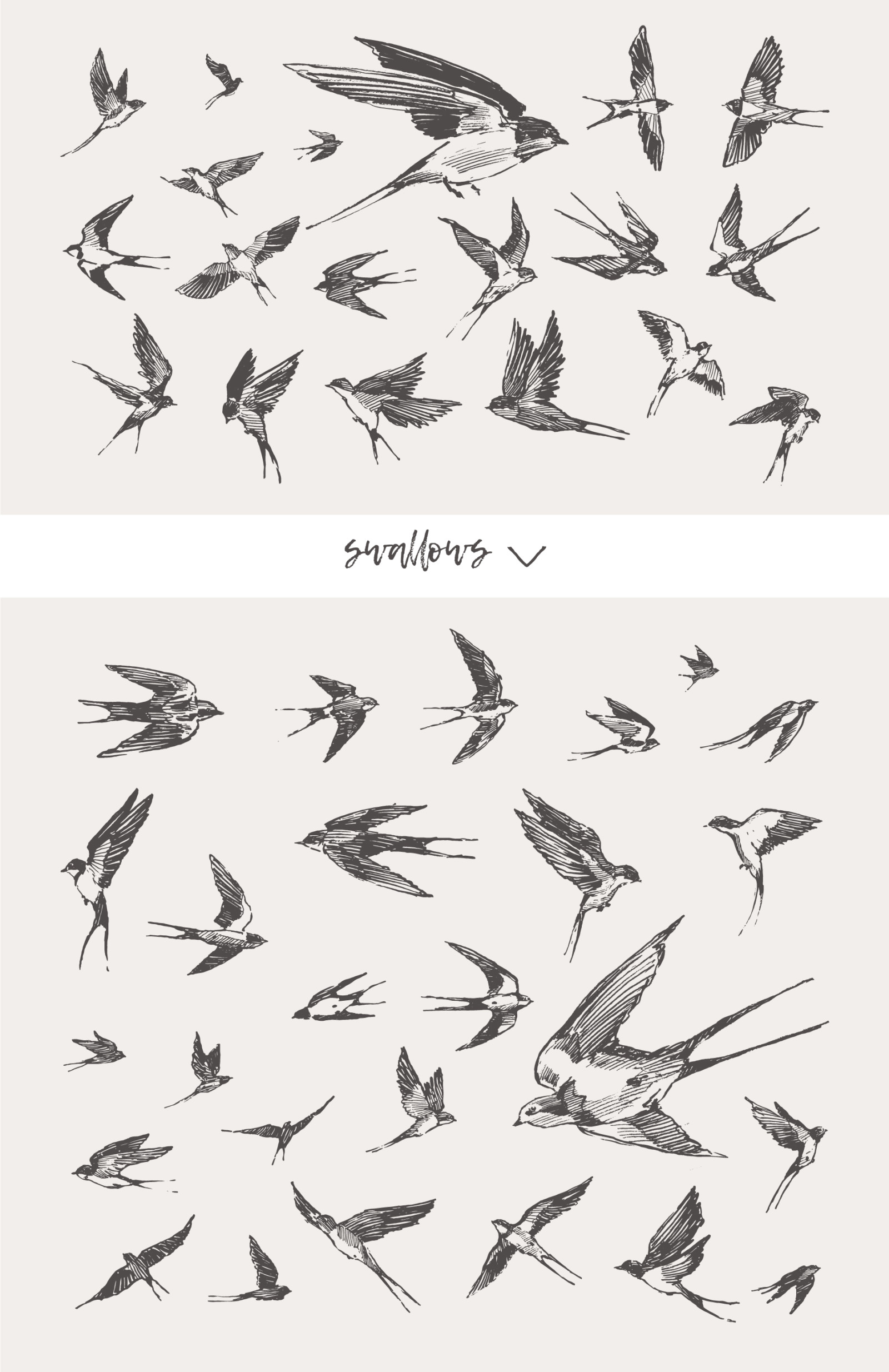 Huge collection of animals drawings Huge collection of animals drawings