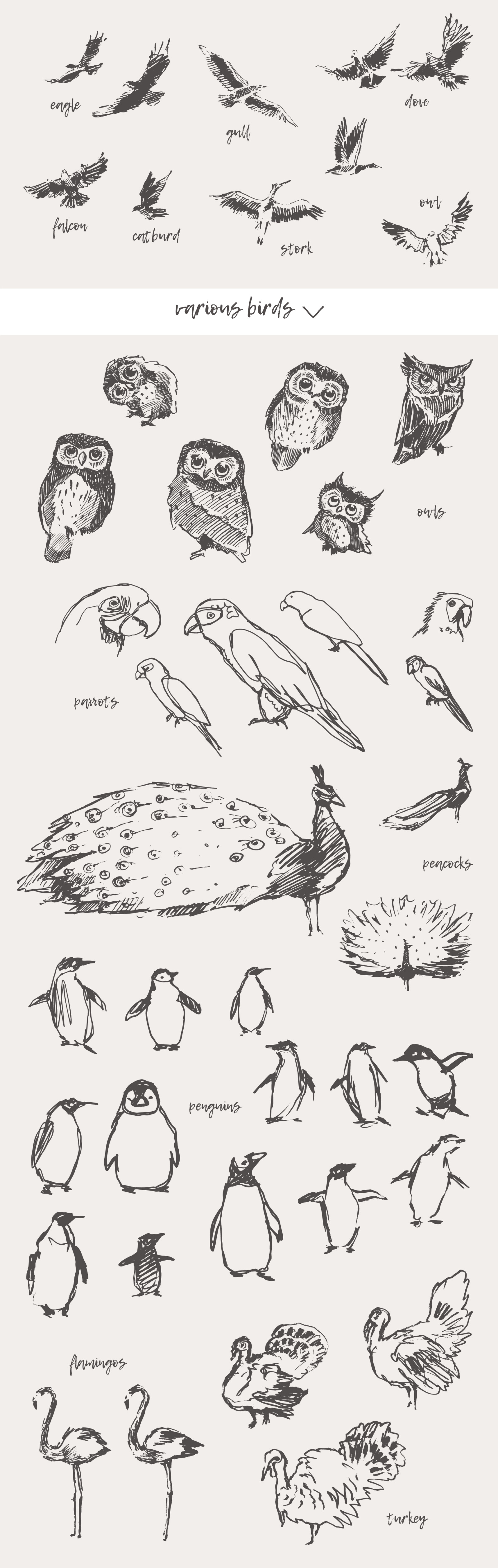 Huge collection of animals drawings