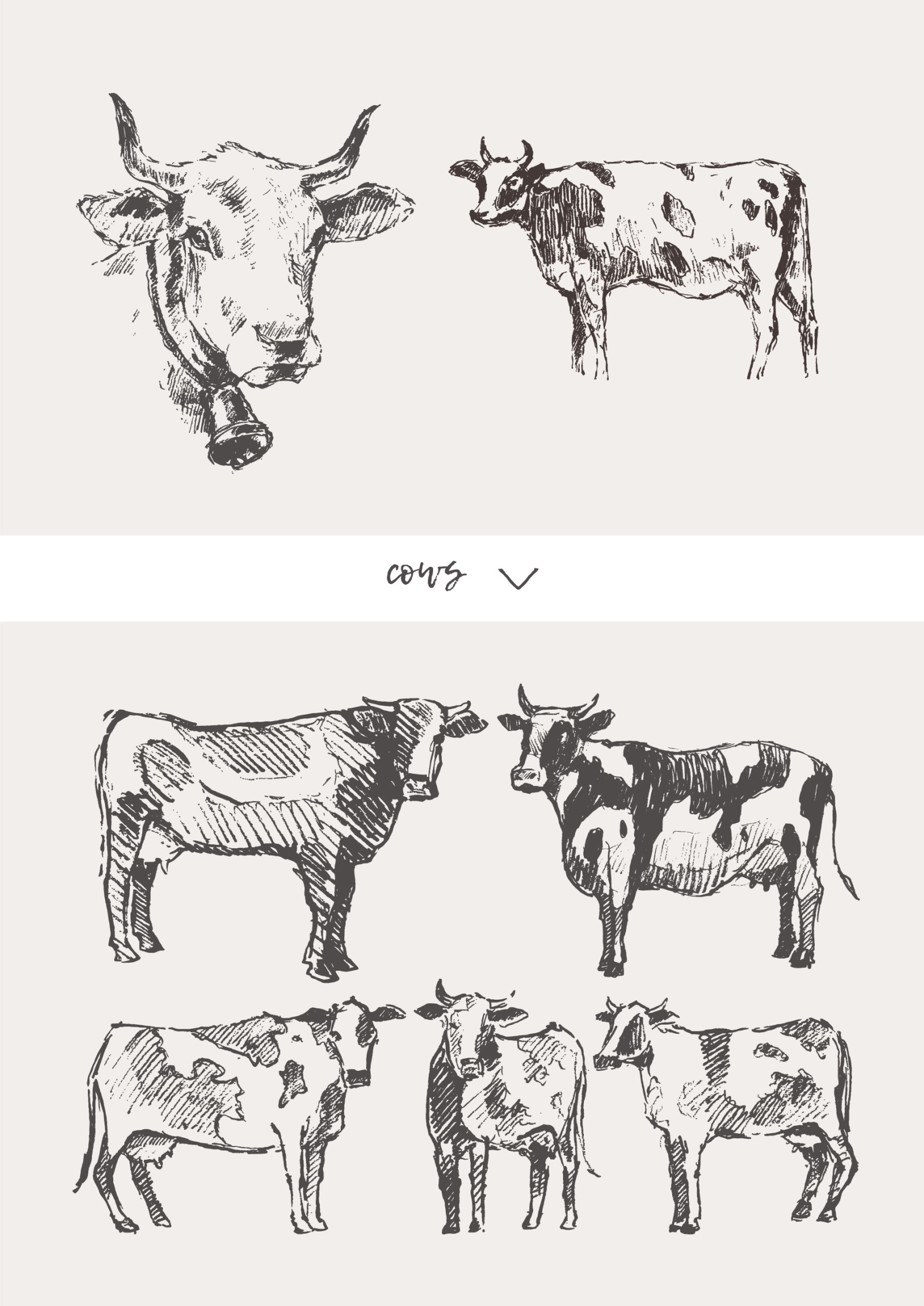 Huge collection of animals drawings