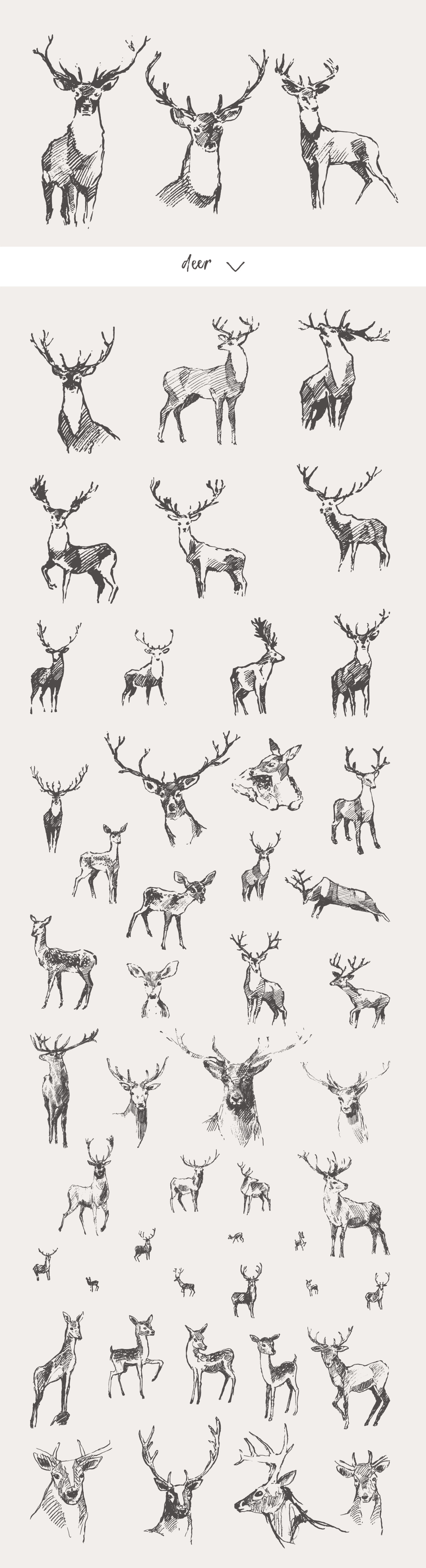 Huge collection of animals drawings