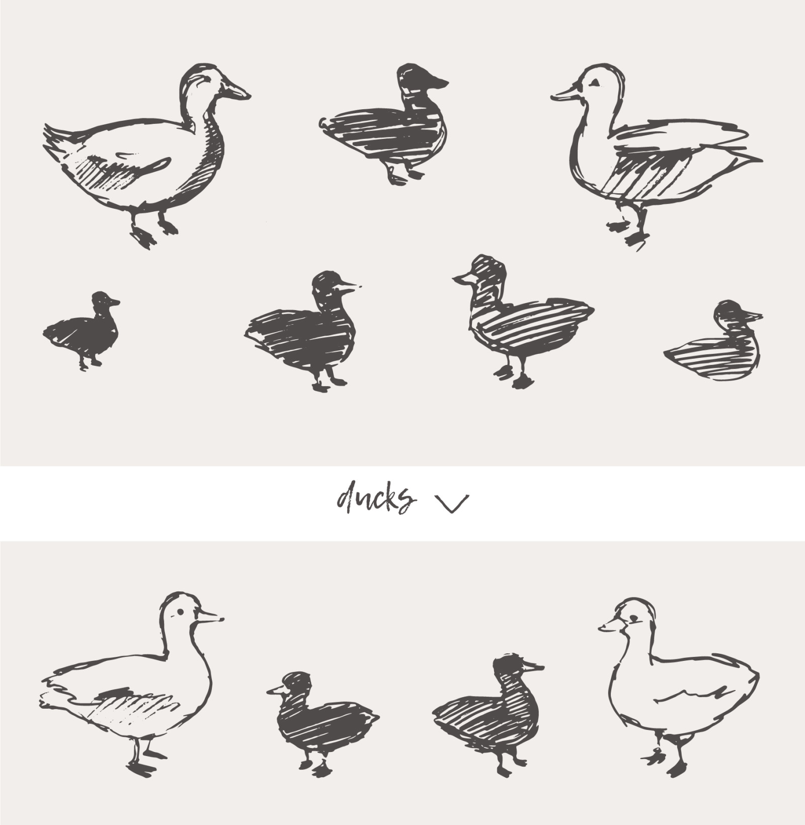 Huge collection of animals drawings Huge collection of animals drawings