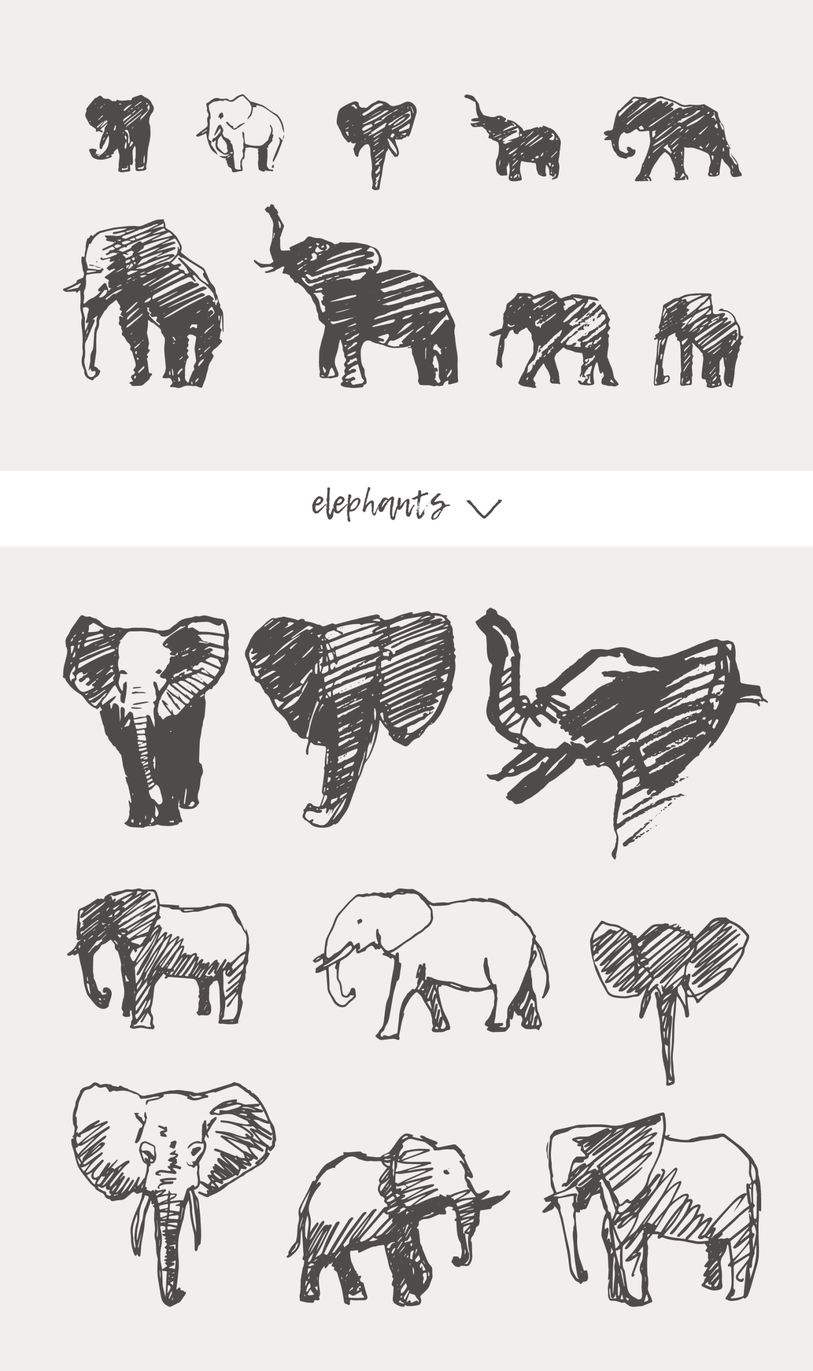 Huge collection of animals drawings