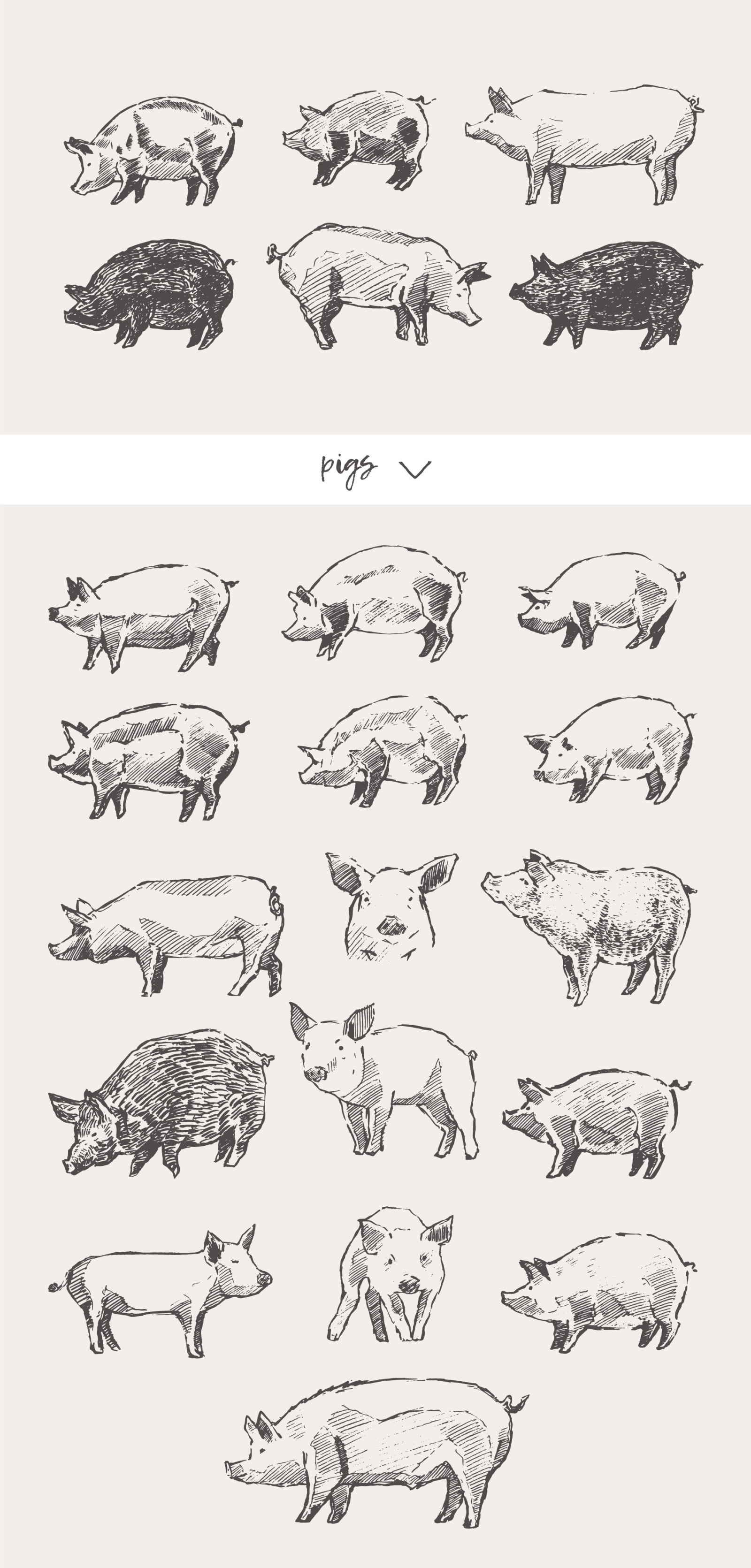 Huge collection of animals drawings Huge collection of animals drawings