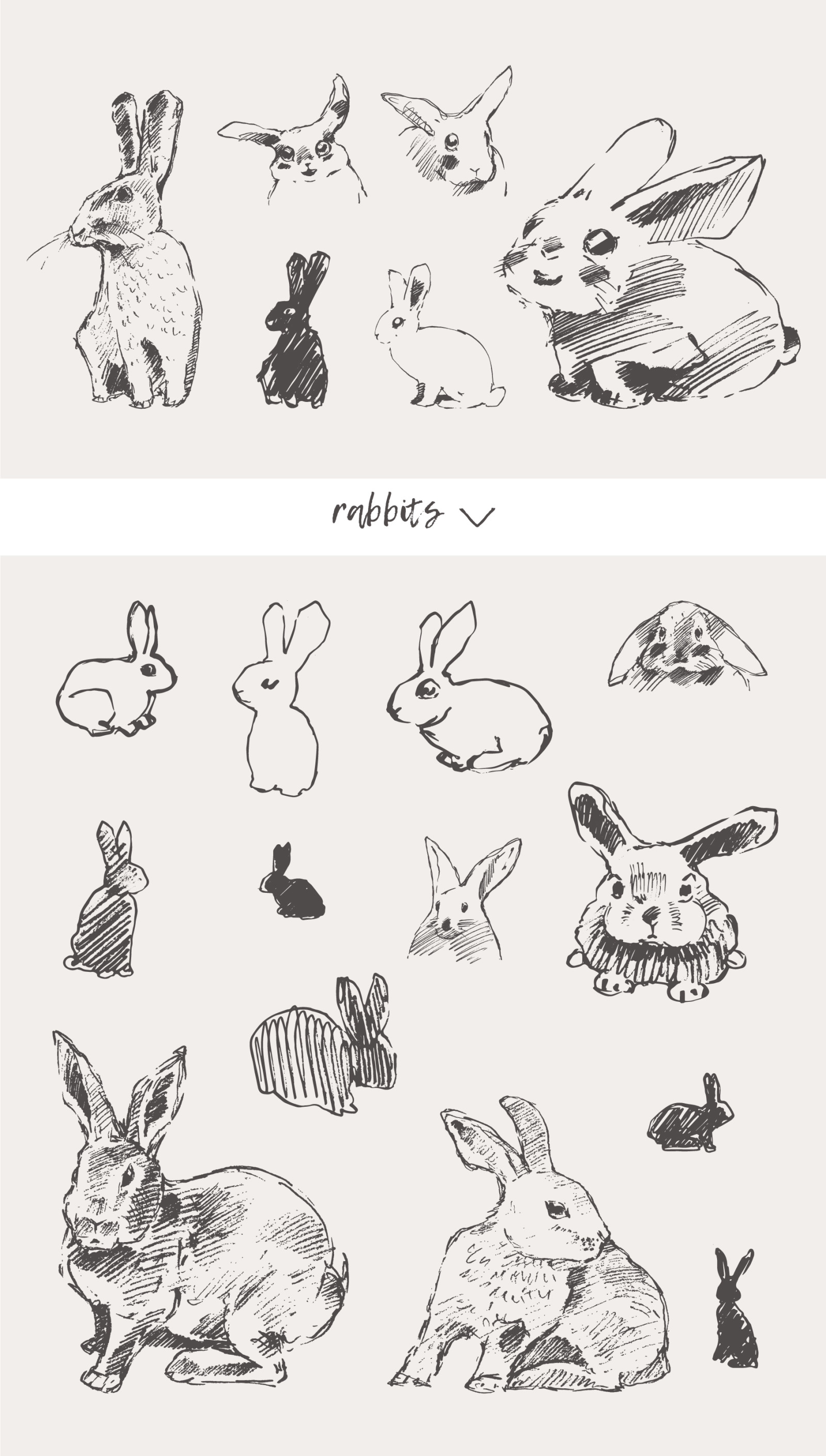 Huge collection of animals drawings