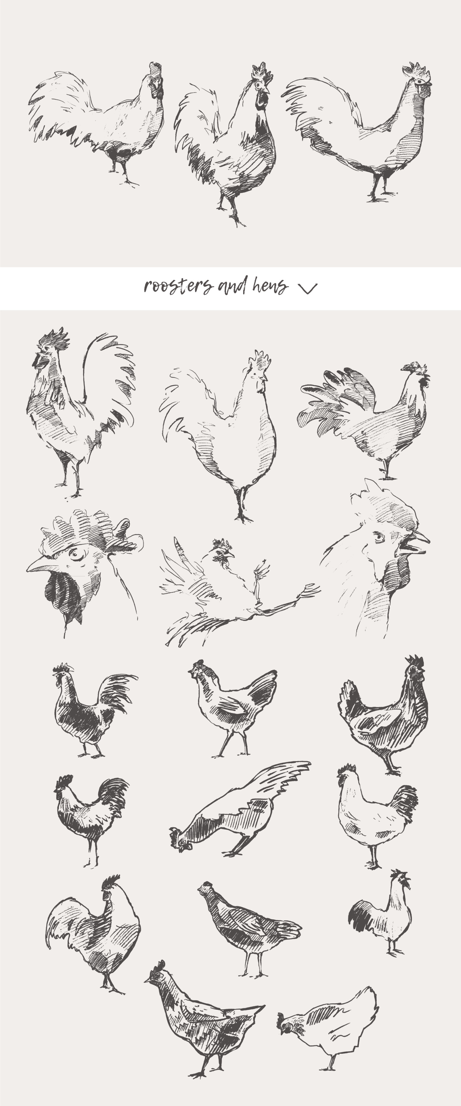 Huge collection of animals drawings