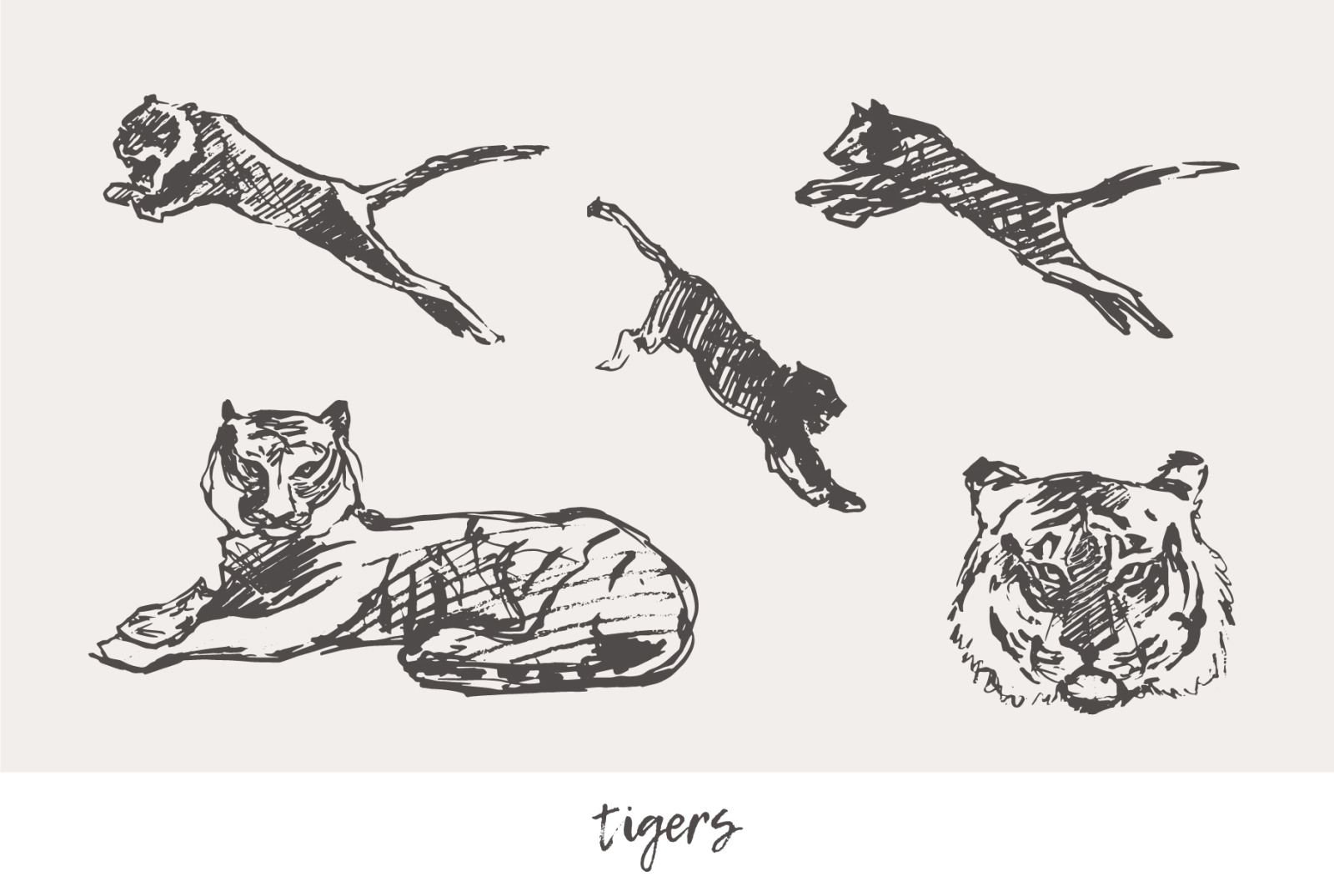 Huge collection of animals drawings Huge collection of animals drawings