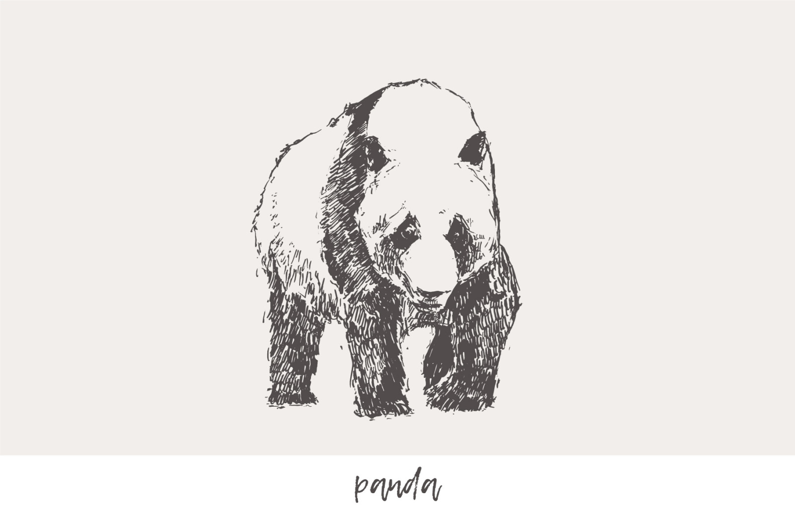 Huge collection of animals drawings Huge collection of animals drawings