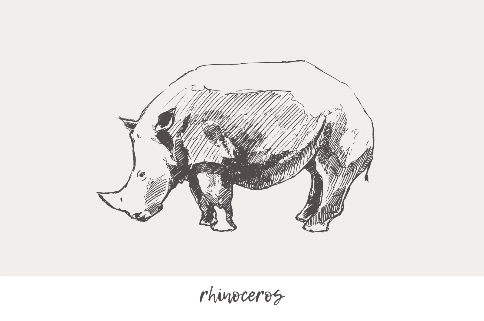 Huge collection of animals drawings