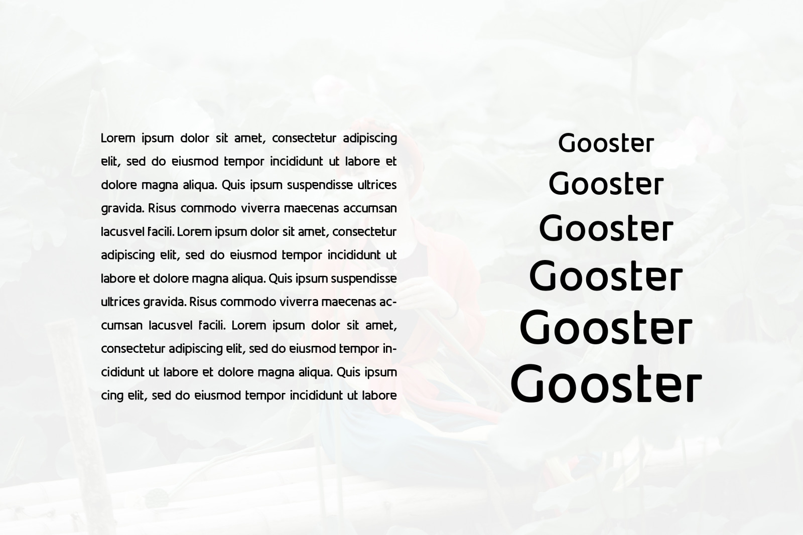 Gooster Font Gooster Font