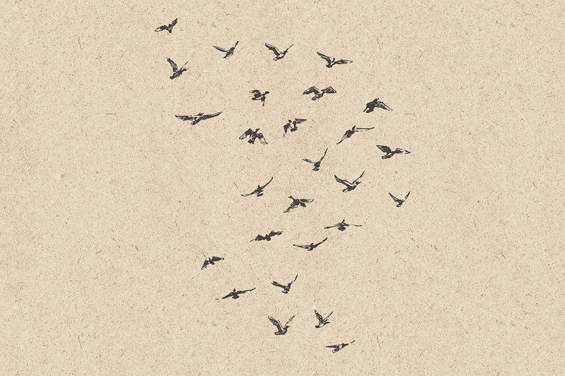 Flocks of birds, sketch style