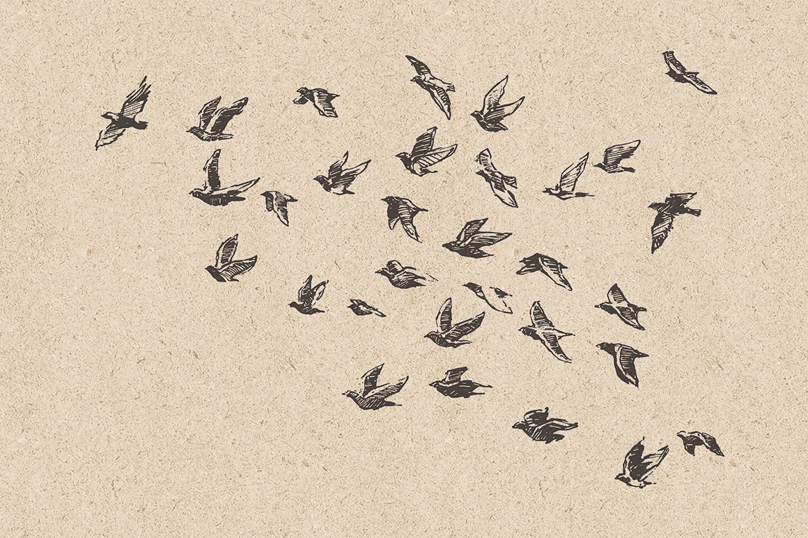 Flocks of birds, sketch style