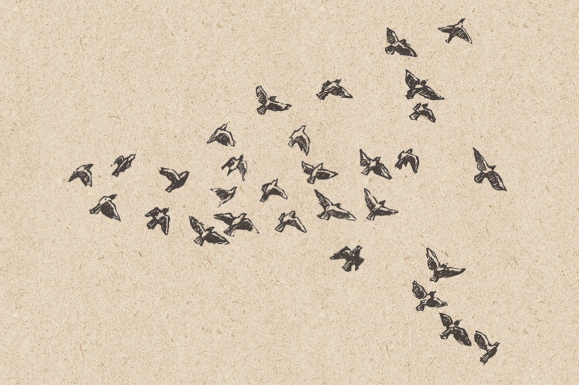 Flocks of birds, sketch style