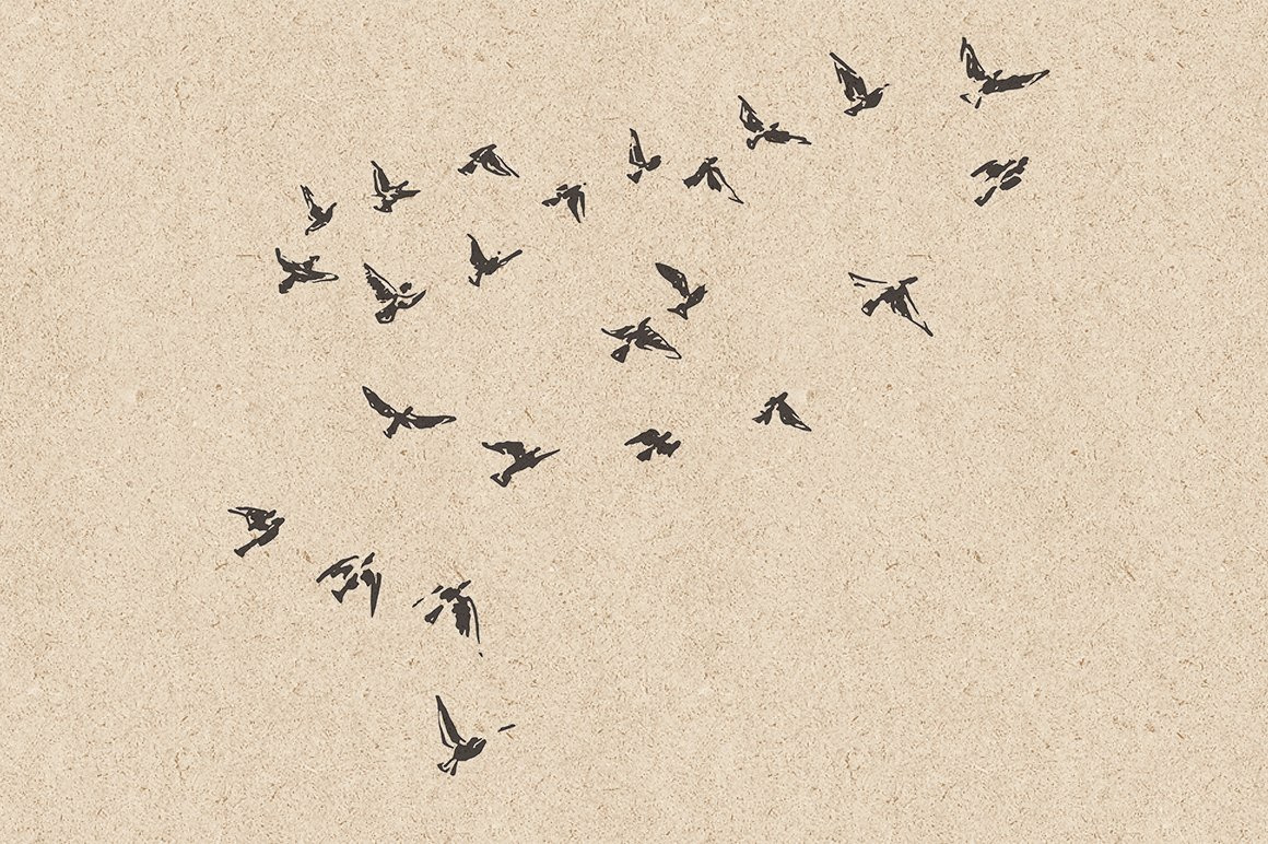 Flocks of birds, sketch style