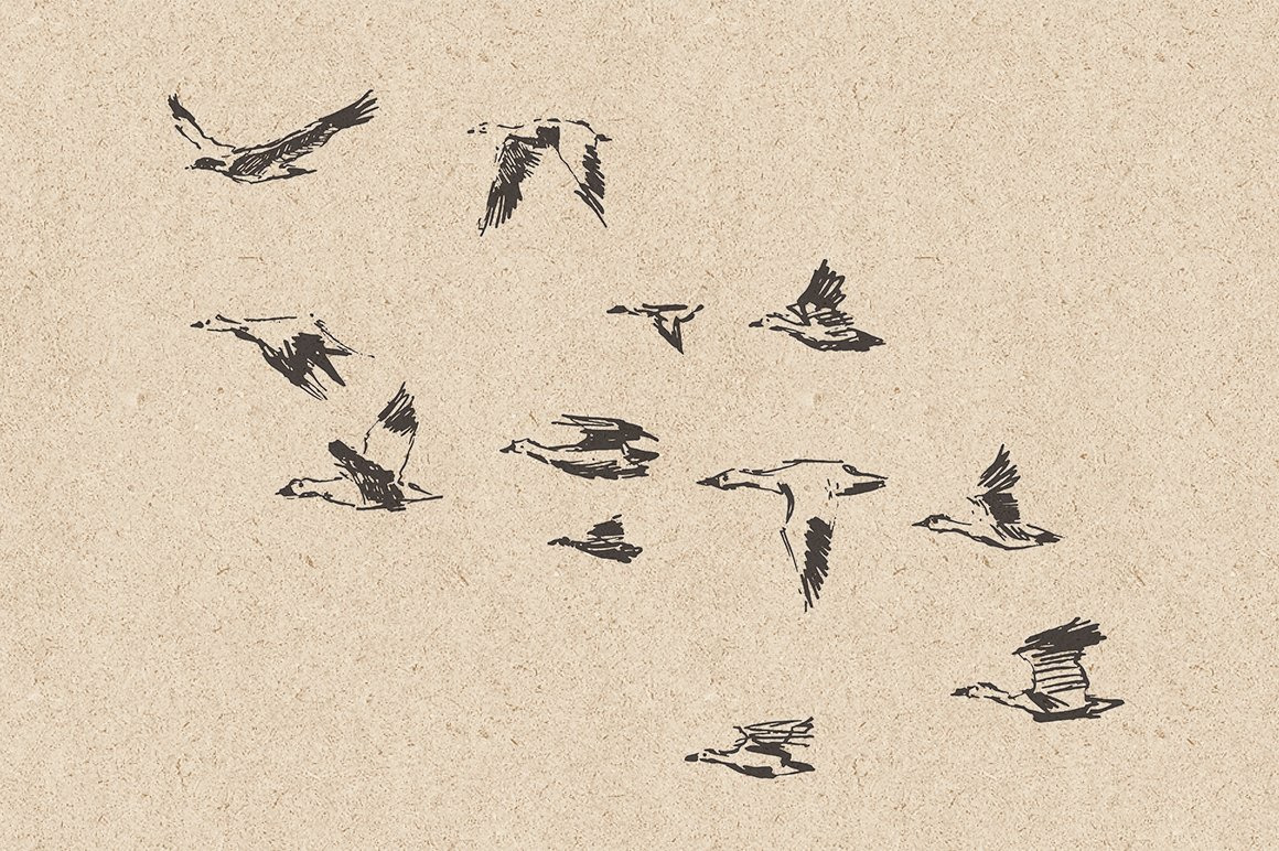 Flocks of birds, sketch style