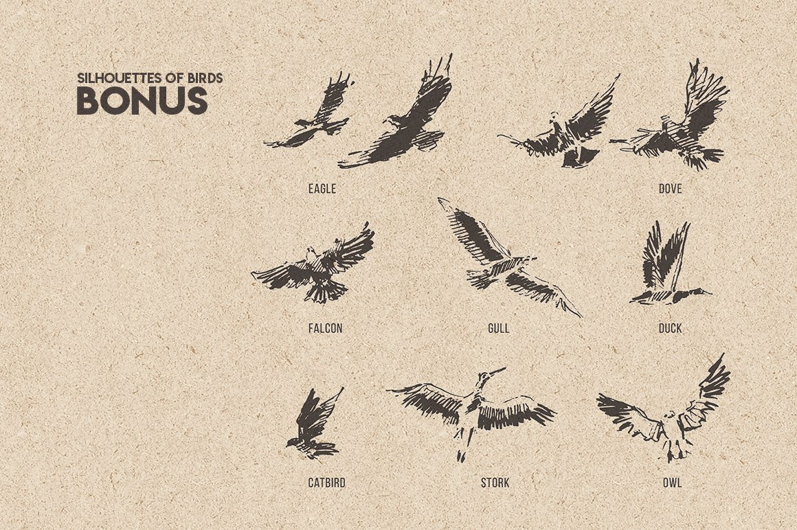 Flocks of birds, sketch style Flocks of birds, sketch style