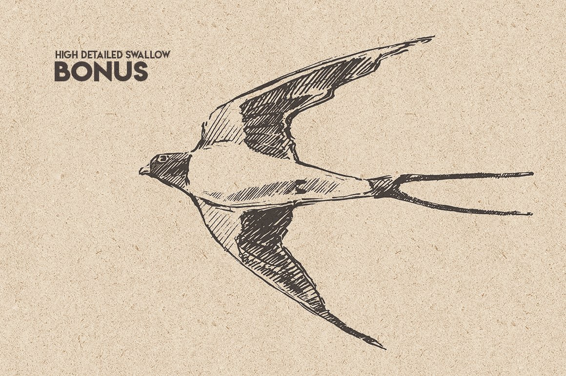 Flocks of birds, sketch style Flocks of birds, sketch style