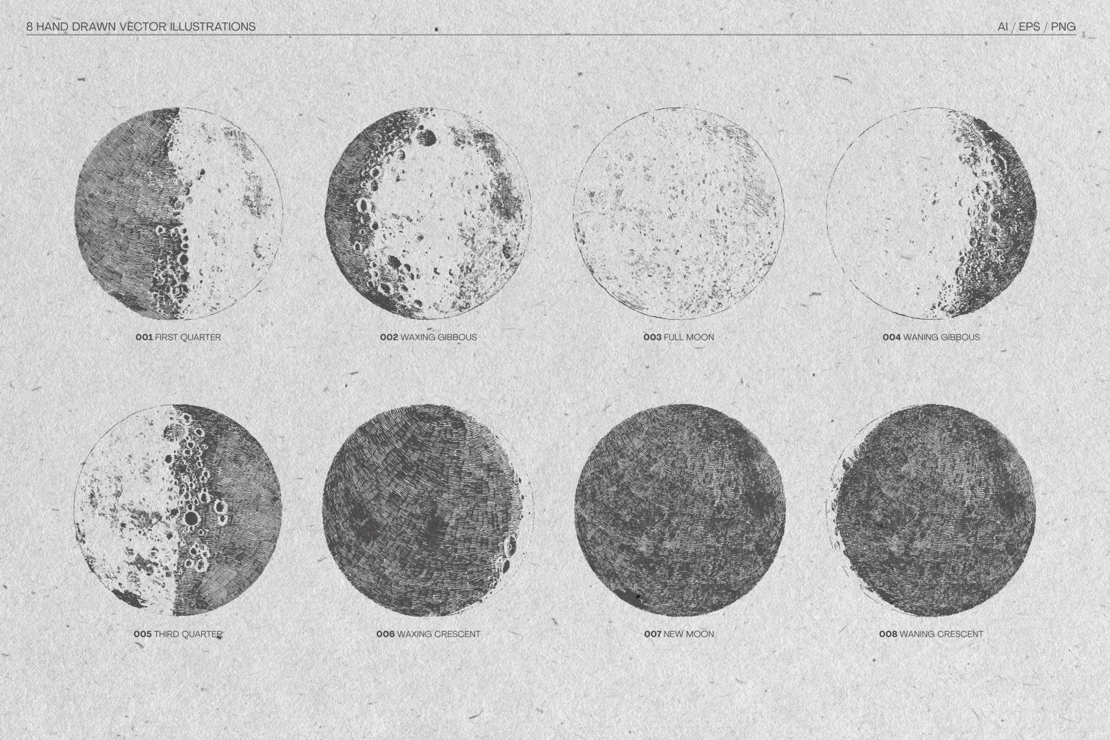 Illustrations of the moon phases