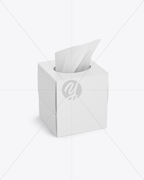 Paper Box w/ Wipes Mockup