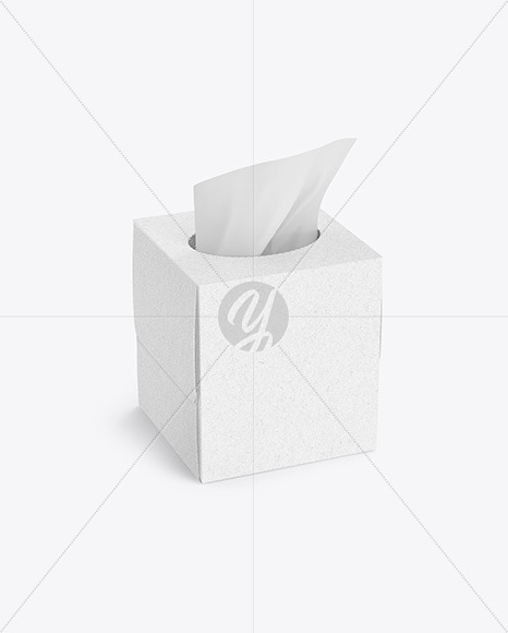 Kraft Paper Box w/ Wipes Mockup