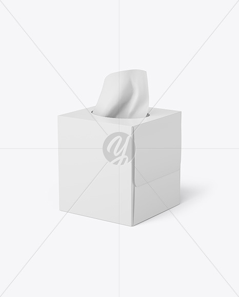 Paper Box w/ Wipes Mockup