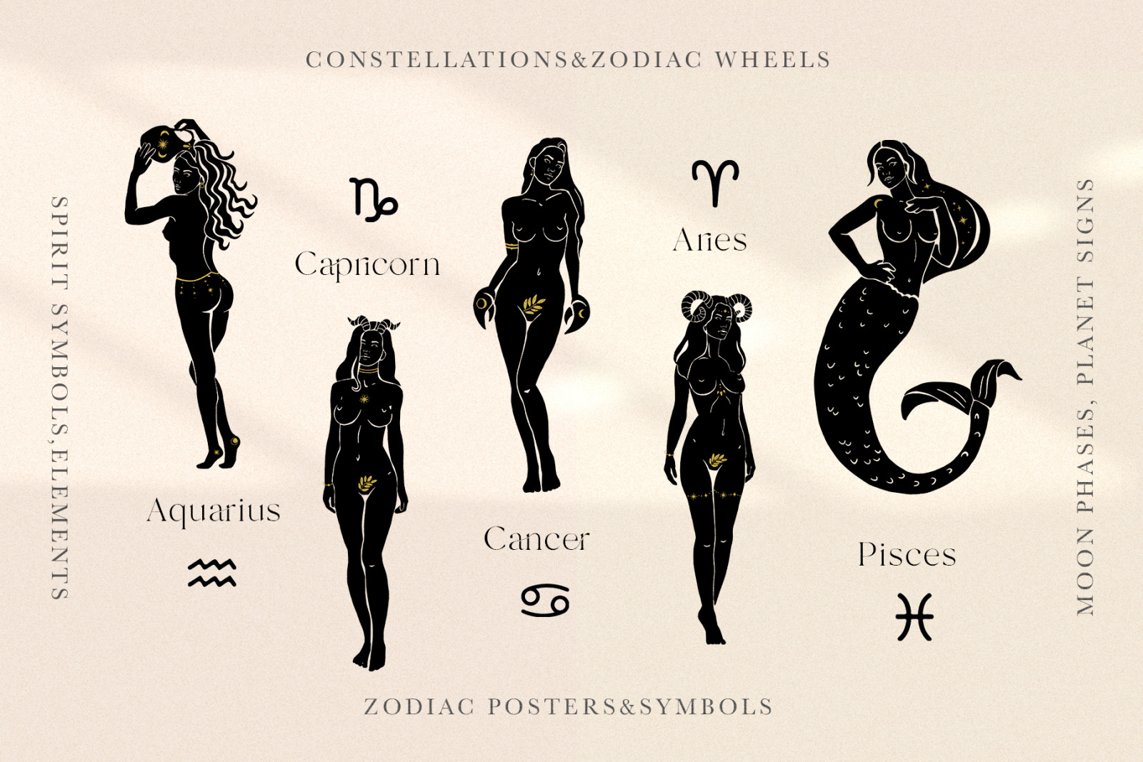 Zodiac Signs Constellation Art