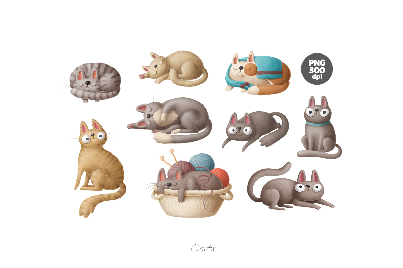 CATS CATS