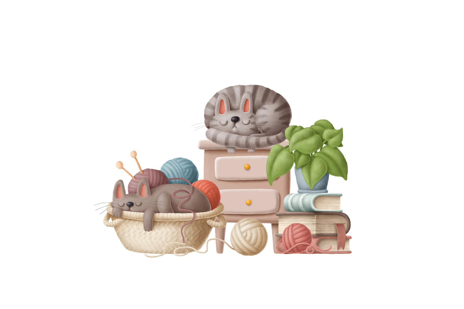 CATS CATS