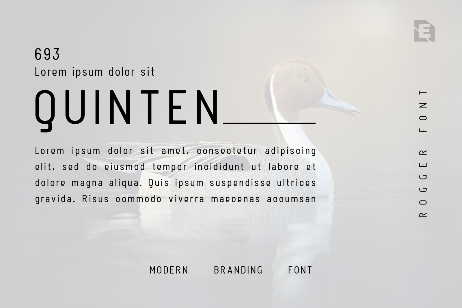 Rogger Font Rogger Font